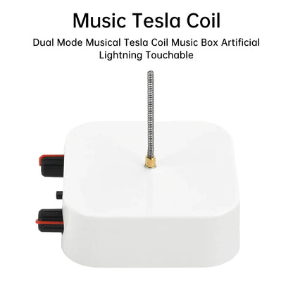 AC110-220V Input Dual Mode Music Tesla Coil Palm Tesla Coil High Frequency Voltage Pulse arc Generator  Artificial Lightning