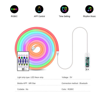 WS2812 RGBIC RGB LED Neon Light Strip,5V USB Waterproof Bluetooth Diode Neon Tape Ribbon with Remote for Room Ceiling Decoration