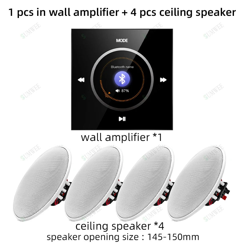 Home audio Wall power Amplifier Mini Stereo Background Music control Panel Bluetooths sound player System with Ceiling speakers