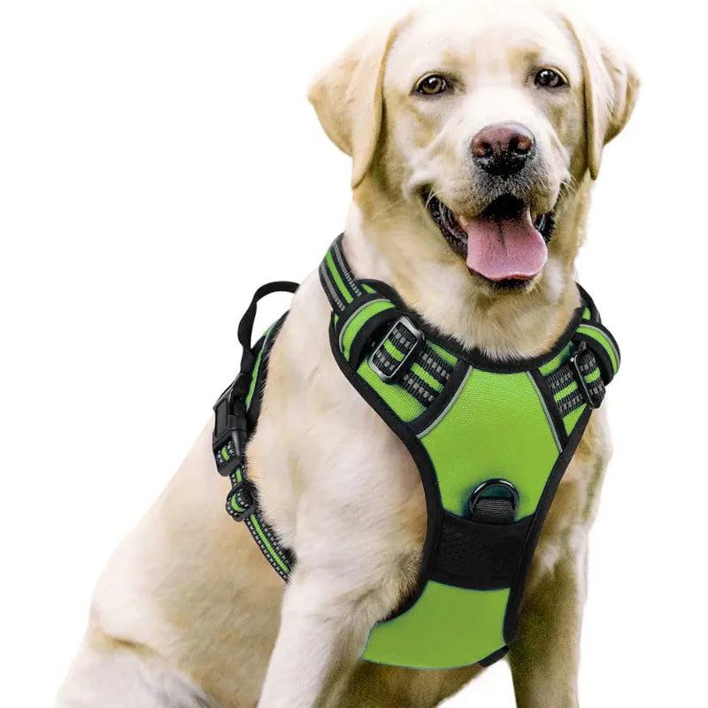 Medium Large Dog Collars Harness Big Vests Harness for Dog Pet Shop Everything for Dogs Small Dogs Harness Puppy Accessories