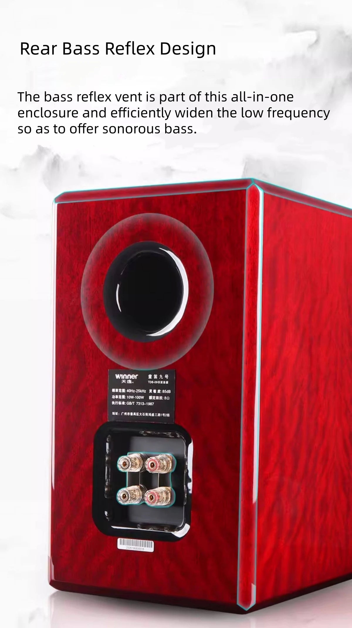 Winner TD-9 Passive Bookshelf Speakers with Wooden Cabinet, 2.0 Hi-Fi Audiophile Stereo System for Home Audio
