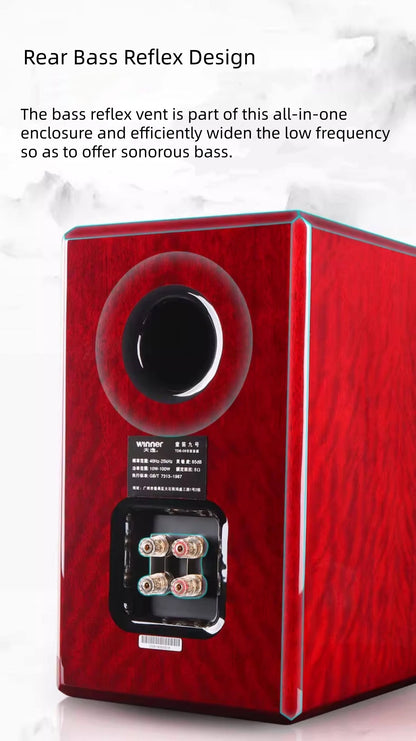 Winner TD-9 Passive Bookshelf Speakers with Wooden Cabinet, 2.0 Hi-Fi Audiophile Stereo System for Home Audio