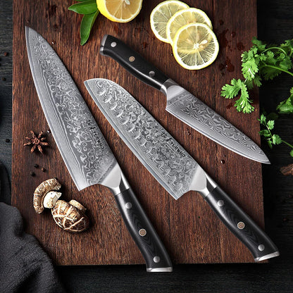 TURWHO 1PC-3PCS Professional Kitchen Knives Set Utility Santoku Chef Knife Japanese 67 Layer Damascus Steel G10 Handles Gift Box