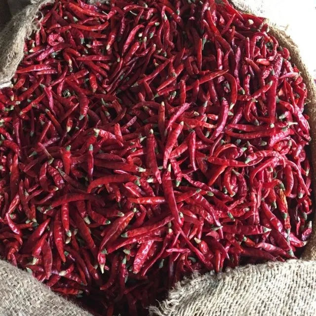 Premium Sannam S4 S334 S10 Dry Red Chilli Export Quality High Pungency Sun Dried Whole Chilli from India