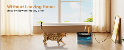 Pet Water Fountain Auto Filter Set Automatic Sensing Cat Drinker 2.1L Recirculate Filtring Drinking for Cat Dog Water Dispenser