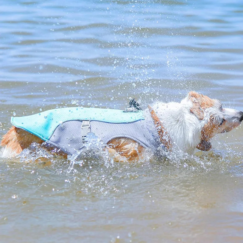 Dog Cooling Vest Dog Harness Cooler Jacket ,Reflective Breathable for Walking Dog Outdoor Camping and Hunting Training