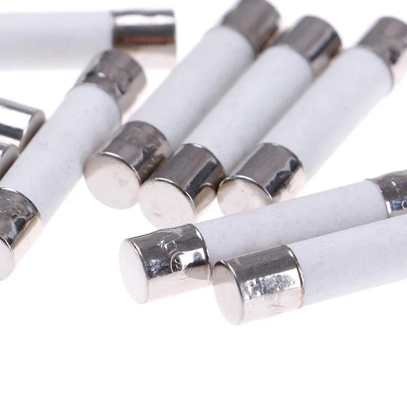 10 Pcs Microwave Ceramic Fuse Electric 20A 250V Home Supplies DIY 6x30mm Wholesale