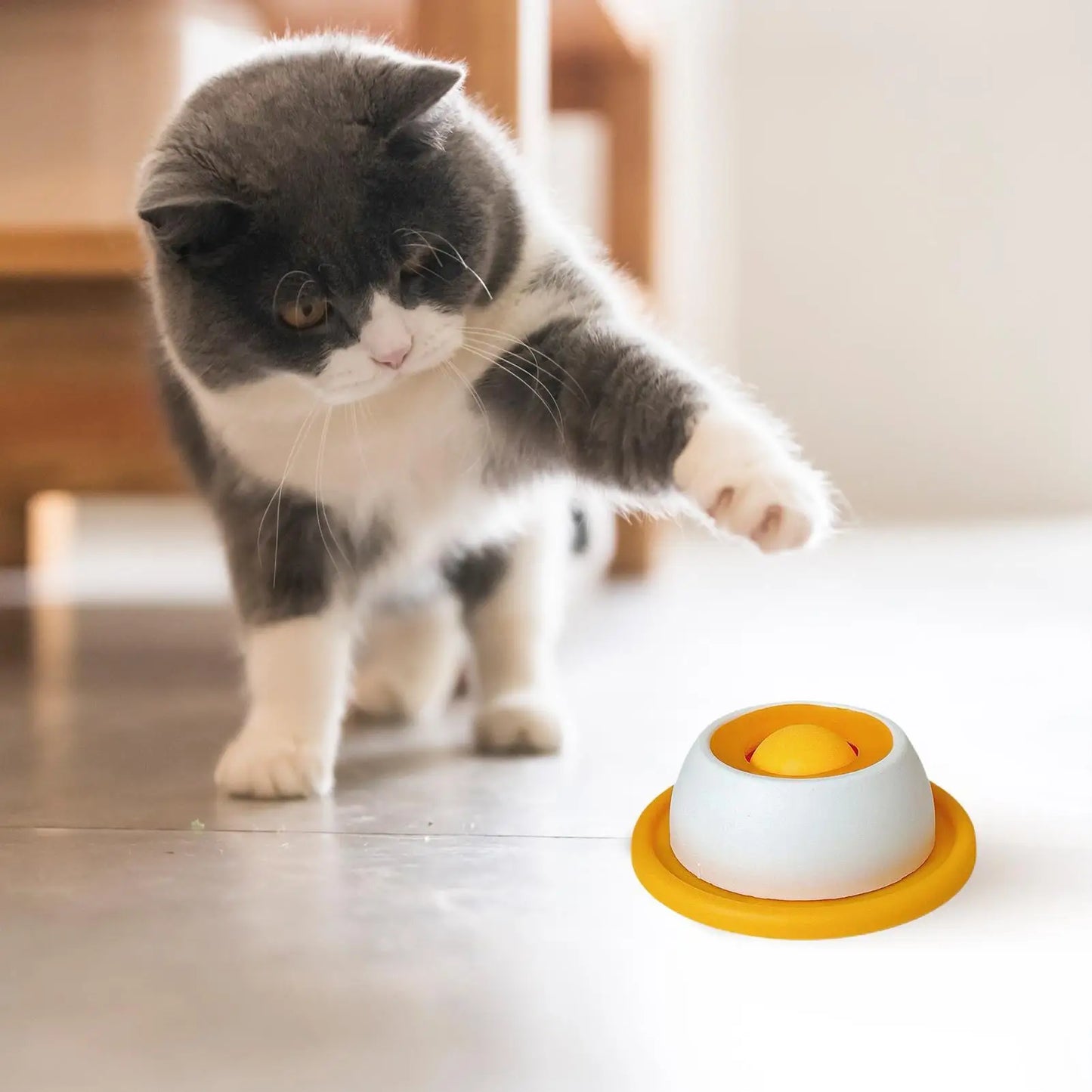New Dog supplies Anti-overturning Pet toys anti-greedy bite-resistant anti-boring artifact kittens cats dog licking supplies
