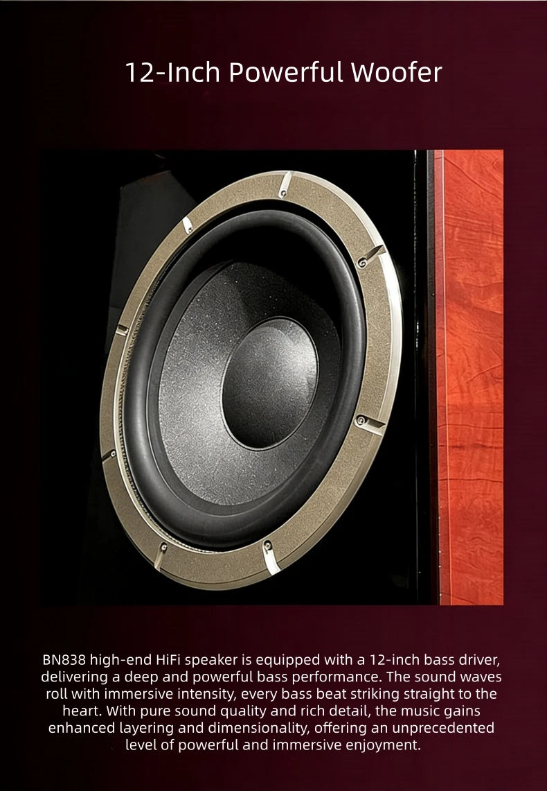 BN838 Hi-Fi Home Theater Speakers with Karaoke Amplifier, Luxury Audio System for Villa & Large Living Rooms