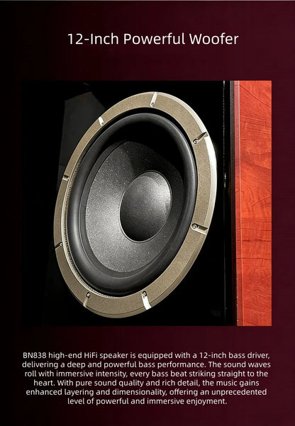 BN838 Hi-Fi Home Theater Speakers with Karaoke Amplifier, Luxury Audio System for Villa & Large Living Rooms