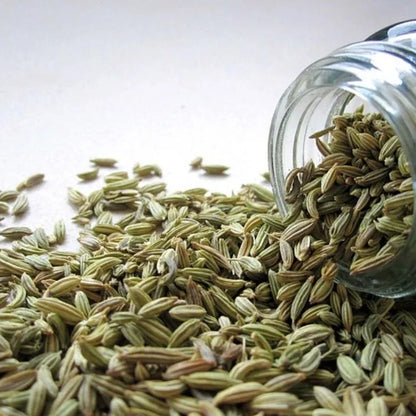 Premium Fennel Seeds Saunf Export Quality Whole Spice Sweet Aroma Cleaned Graded Bulk Supply from India Cooking Mouth Freshener