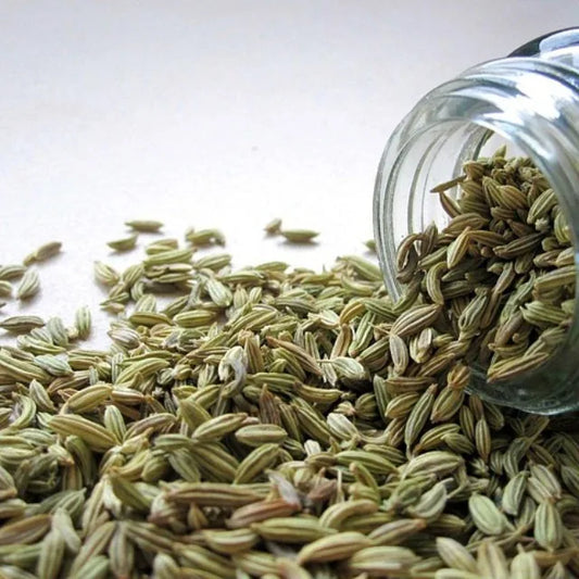 Premium Fennel Seeds Saunf Export Quality Whole Spice Sweet Aroma Cleaned Graded Bulk Supply from India Cooking Mouth Freshener