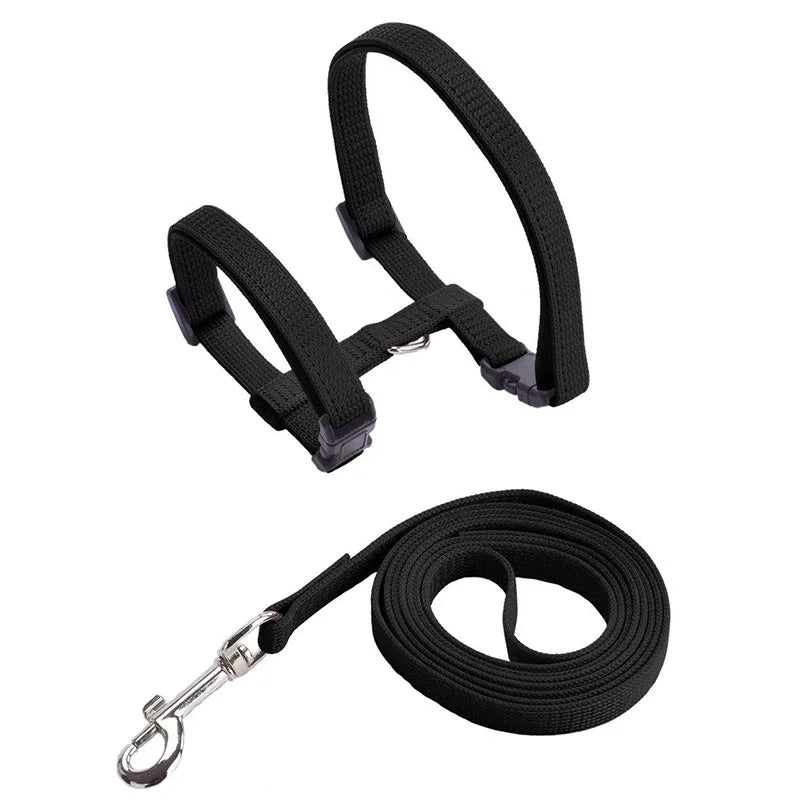 Adjustable Pet Cat Collar For Cats Cozy Nylon Rabbit Kitten Kedi Harness Leash Set Dog Cat Accessories Products For Pets