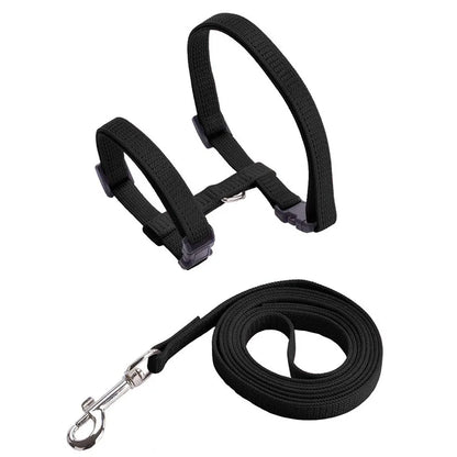 Adjustable Pet Cat Collar For Cats Cozy Nylon Rabbit Kitten Kedi Harness Leash Set Dog Cat Accessories Products For Pets