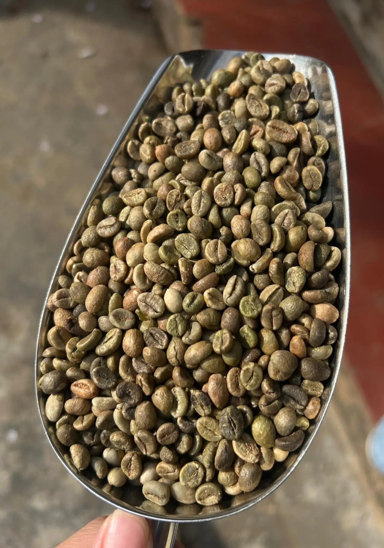 Vietnam Robusta Green Coffee Beans Grade 1 Size 16 18 Traceable Source Premium Quality Bulk Supply Factory Export