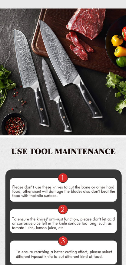 TURWHO 1PC-3PCS Professional Kitchen Knives Set Utility Santoku Chef Knife Japanese 67 Layer Damascus Steel G10 Handles Gift Box