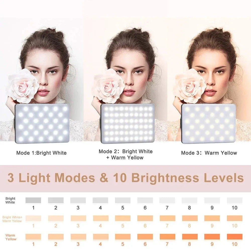 Mobile Phone Fill Light 3 Modes Adjustable Type-C USB Dual Port Charging Fill Lamp For Live Streaming Selfie Video Conferencing