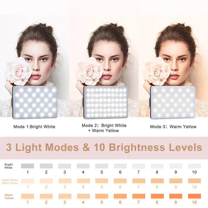 Mobile Phone Fill Light 3 Modes Adjustable Type-C USB Dual Port Charging Fill Lamp For Live Streaming Selfie Video Conferencing