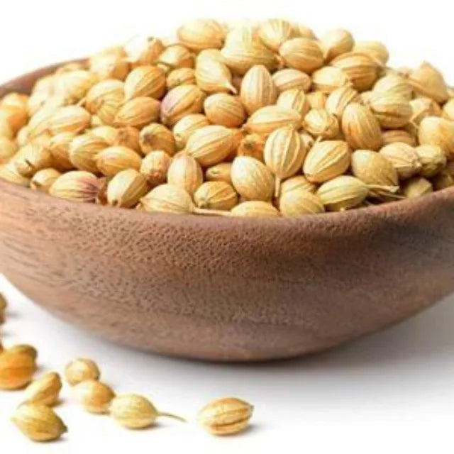 Premium Coriander Seeds Export Quality Whole Spice Graded Natural AromaticFlavour Culinary Seasoning from Saanvisha India