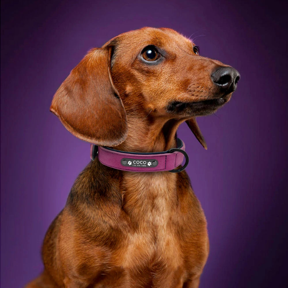 Personalized  PU Leather Dog Collar Soft Padded Pet Dog Collars Engraved Name Paw Durable Necklace for Small Medium Large Dogs