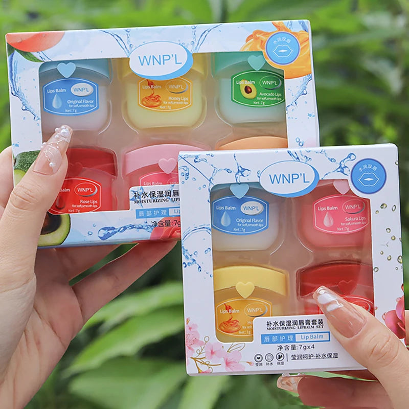 4/6/8pcs Moisturizing Lip Balm Sets Lipstick Makeup Natural Plant Base Moisturizer Lip Balm Anti-Cracking Lips