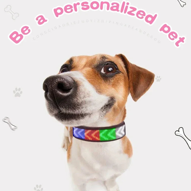 LED Dog Collar DIY ID LED Tag Nameplate Night Glowing Pet Collars Adjustable Safety Puppy Collar for Small Medium Large Dogs