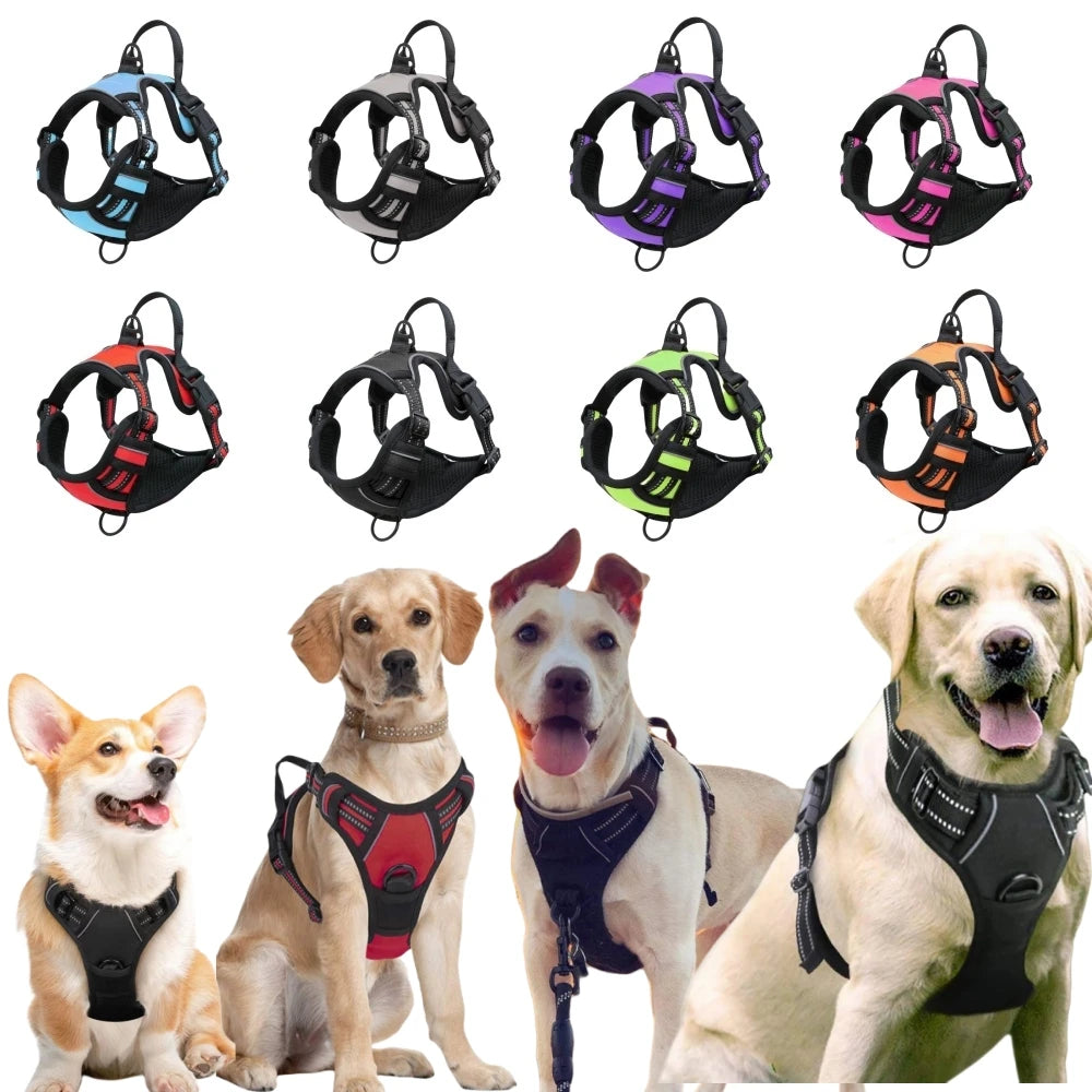 Medium Large Dog Collars Harness Big Vests Harness for Dog Pet Shop Everything for Dogs Small Dogs Harness Puppy Accessories