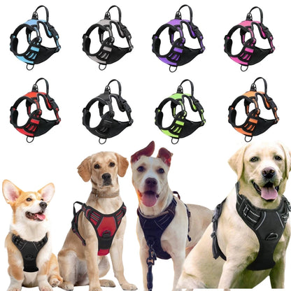 Medium Large Dog Collars Harness Big Vests Harness for Dog Pet Shop Everything for Dogs Small Dogs Harness Puppy Accessories