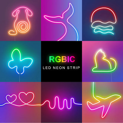 WS2812 RGBIC RGB LED Neon Light Strip,5V USB Waterproof Bluetooth Diode Neon Tape Ribbon with Remote for Room Ceiling Decoration