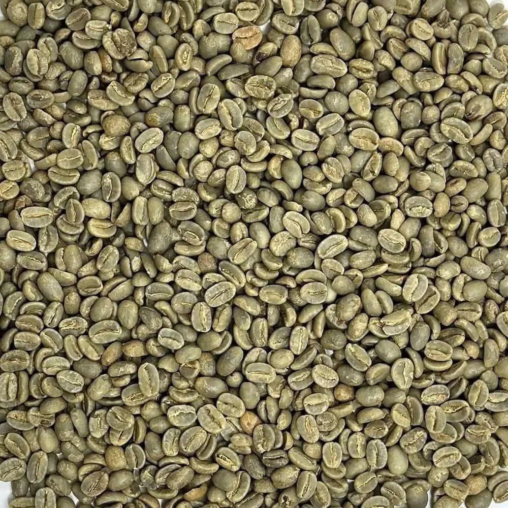 Vietnam Robusta Green Coffee Beans Grade 1 Size 16 18 Traceable Source Premium Quality Bulk Supply Factory Export