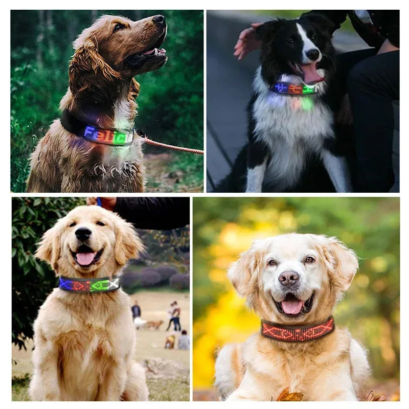 LED Dog Collar DIY ID LED Tag Nameplate Night Glowing Pet Collars Adjustable Safety Puppy Collar for Small Medium Large Dogs