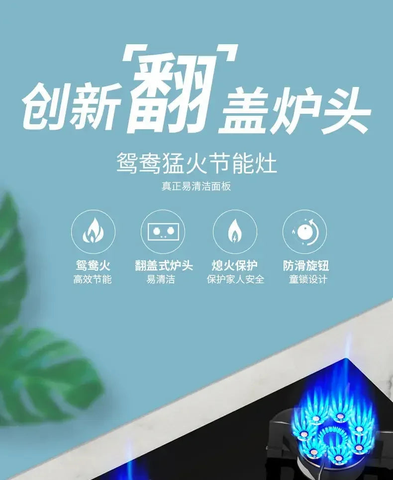 Household Built-in Double Stove Gas Stoves Table Kitchen Kitchens Cookers Countertops Cooker Home Recessed Top Cooktop Hob Panel