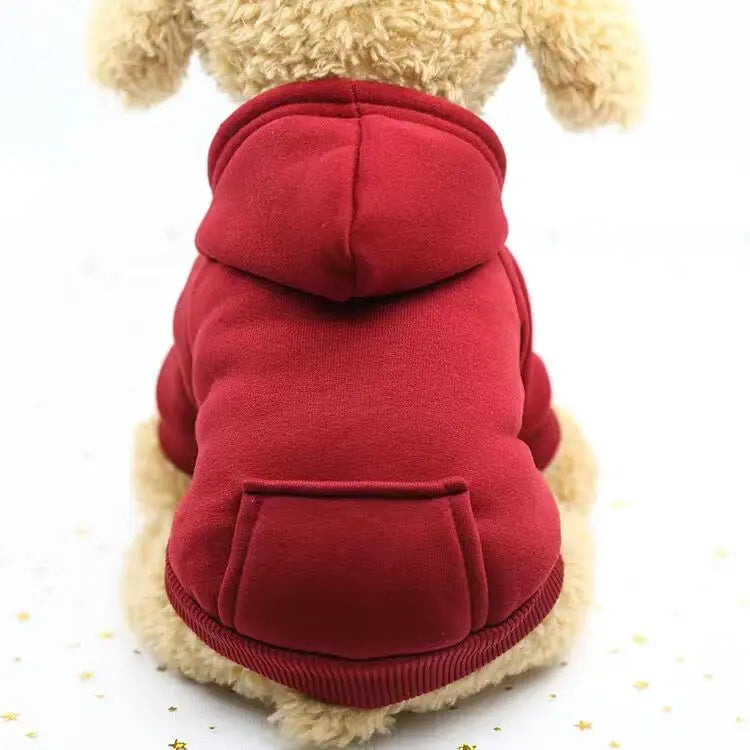Autumn and winter pet two-legged clothing sports sweater dog clothes pet supplies cat clothes