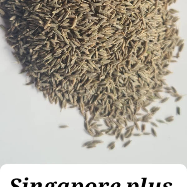 Premium Cumin Seeds Jeera Export Quality Whole Spice Cleaned Natural Seasoning Culinary Aroma from Saanvisha Gujarat India