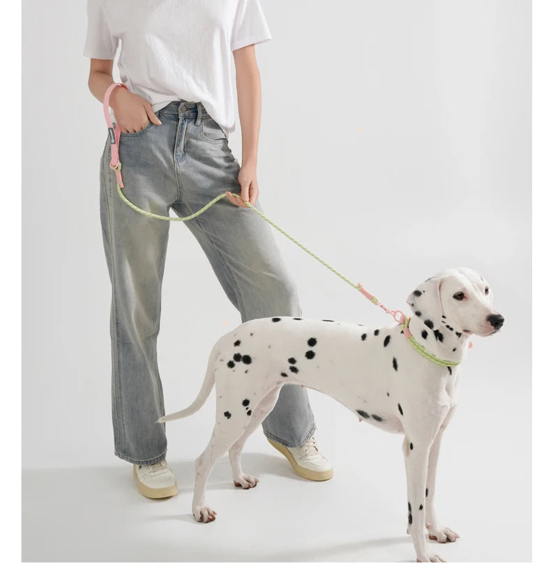 Pet Collar Cute Fashion Nylon webbing Dog Lead Collar Candy Style Handmade Webbing PVC Neck Ring Cool waterproof Dogs supplies