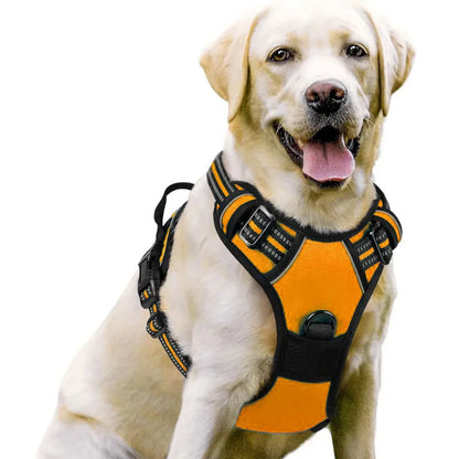Medium Large Dog Collars Harness Big Vests Harness for Dog Pet Shop Everything for Dogs Small Dogs Harness Puppy Accessories