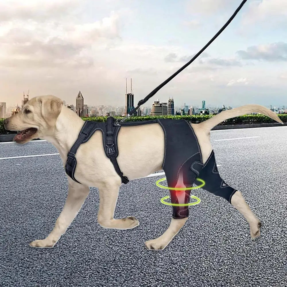 Orthopedic Brace For Dogs Pet Joint Hip Support Brace Adjustable Leg Support For Keeping Animal Joints Warm And Stable