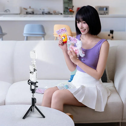 LED New Portable Selfie Fill Light Rechargeable 3 Modes Adjustable Brightness Clip On For Phone Laptop Tablet Meeting Make Up