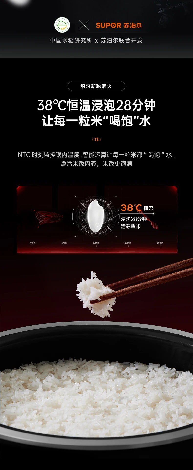 Far-infrared Kettle Rice Cooker Household 4 Liters Large-capacity Smart Rice Cooker Rice Cooker 220V Electric