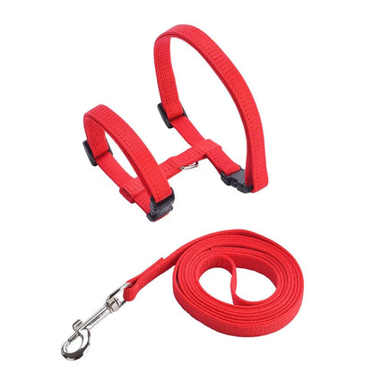 Adjustable Pet Cat Collar For Cats Cozy Nylon Rabbit Kitten Kedi Harness Leash Set Dog Cat Accessories Products For Pets