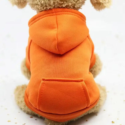 Autumn and winter pet two-legged clothing sports sweater dog clothes pet supplies cat clothes