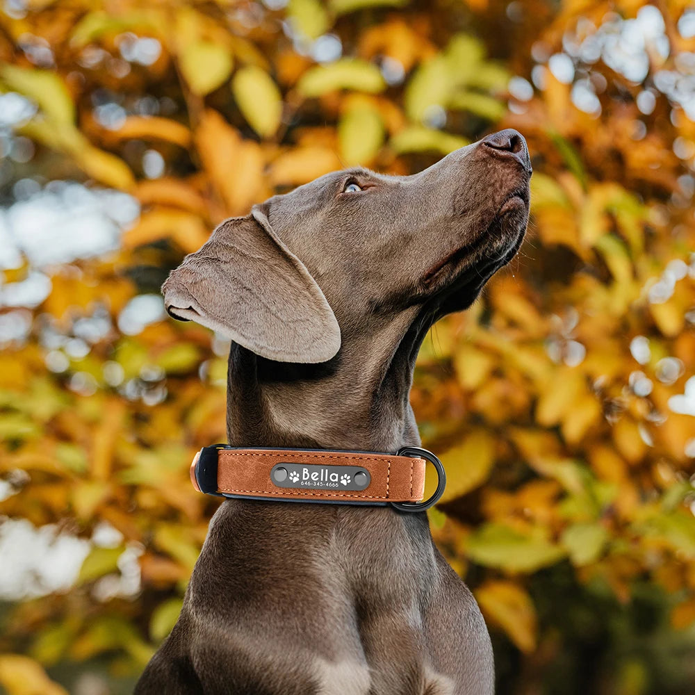 Personalized  PU Leather Dog Collar Soft Padded Pet Dog Collars Engraved Name Paw Durable Necklace for Small Medium Large Dogs
