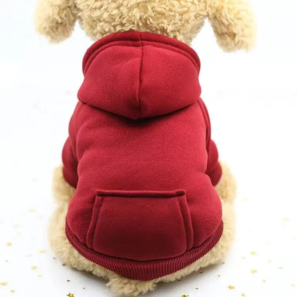 Autumn and winter pet two-legged clothing sports sweater dog clothes pet supplies cat clothes