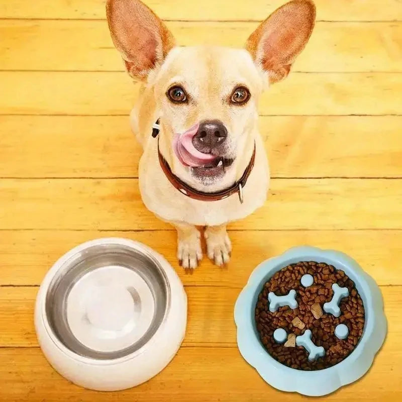 Pet Supplies Color Slow Feeder Cat Bowl Anti-choking Plastic Dog Puzzle Food Bowl, Dog Water Basin For Anxiety Relief