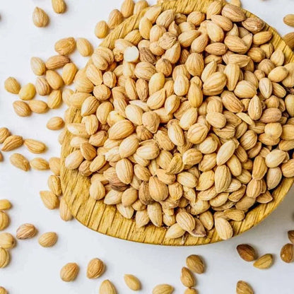 Premium Coriander Seeds Export Quality Whole Spice Graded Natural AromaticFlavour Culinary Seasoning from Saanvisha India