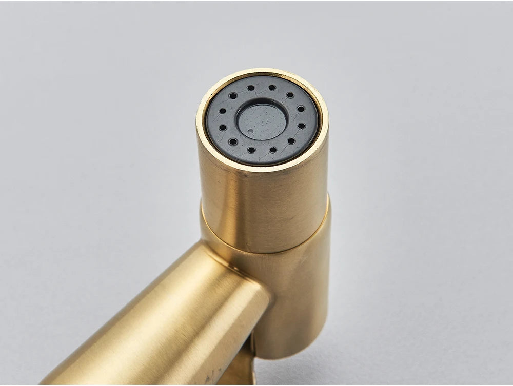 Brushed Gold Handheld Toilet Bidet Sprayer Stainless Steel Bidet Shower Hygienic Shower Wall Toilet Bidet Sprayer Cold Water