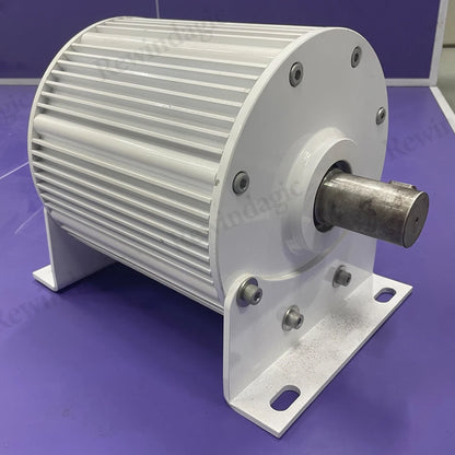 Low Noise 380V 5000W 10KW 20KW 30KW Permanent Magnet Generator With 48V 60V 24V DC Motor Complete Set Power Generator System