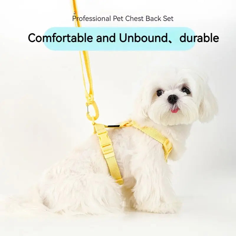 Dog Harness Dog Collar Dog Leash Macarone Color Cat Accessories Pet Small Dog Accessories Small Dog Harness Dog Supplies