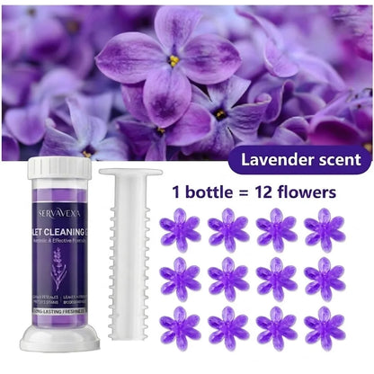 SERVAVEXA 5Pcs Toilet Cleaning Gel Kit Aromatic Flower Needle Stamp Cleaner Deodorizer Removes Stains & Limescale Fresh Scent