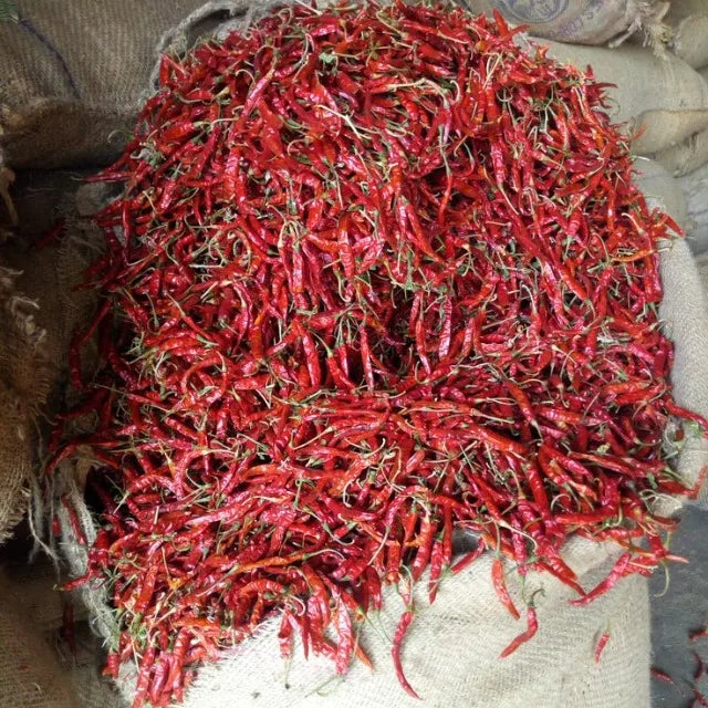 Premium Teja S17 Raw AD Dried Red Chilli Export Quality High Pungency Whole Red Pepper Bulk Supply From India